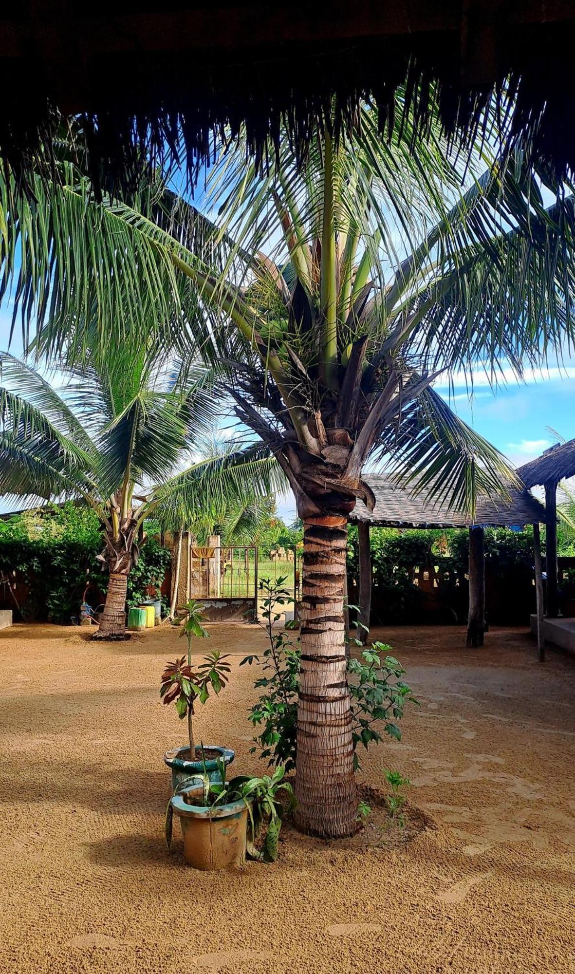 Nguel Du Saloum - Chez Abdou Et Mar Otel Mar Lodj Dış mekan fotoğraf